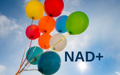 NAD+ Infusionen
